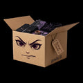 BOX GRADO B